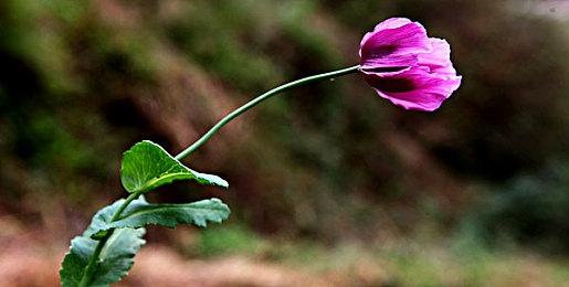 PlayStation夏日促销火热开启 多款大作史低折扣来袭